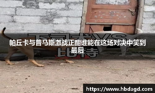 帕丘卡与普马斯激战正酣谁能在这场对决中笑到最后