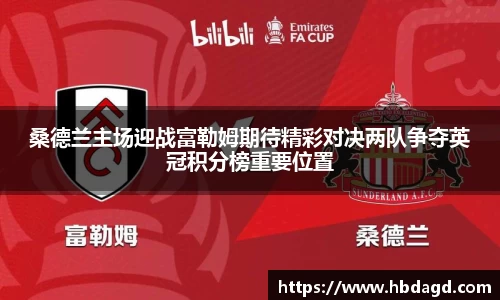 桑德兰主场迎战富勒姆期待精彩对决两队争夺英冠积分榜重要位置