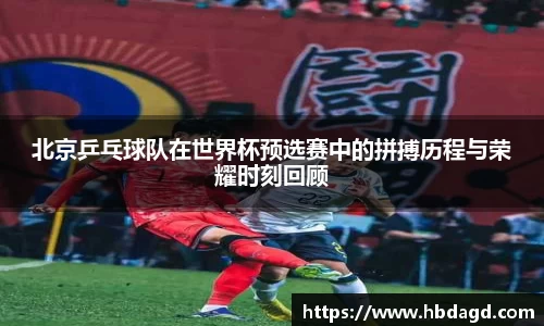 北京乒乓球队在世界杯预选赛中的拼搏历程与荣耀时刻回顾